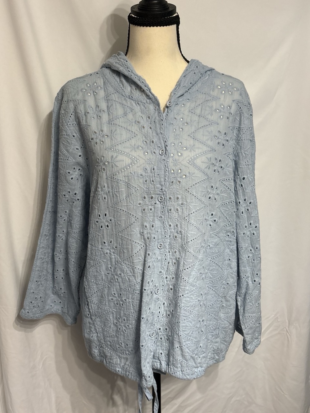 Light Blue Eyelet Hooded Button-Up Blouse Cottagecore SZ XXL 100% Cotton